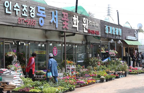 남동화훼단지 사진