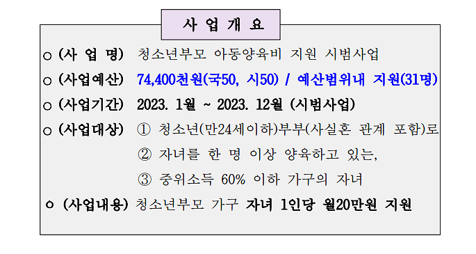 청소년부모_아동양육비_지원_시범사업.png 이미지