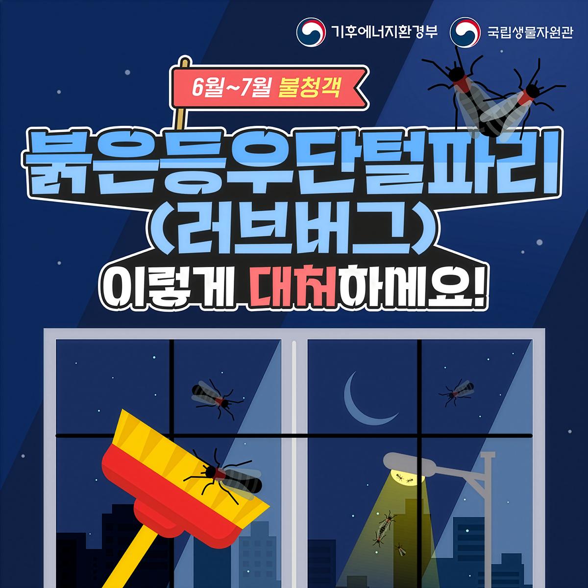 고해상도_01.jpg 이미지