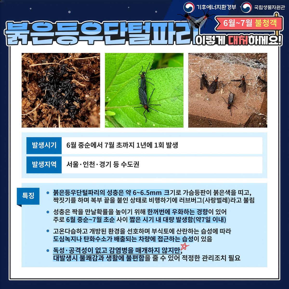 고해상도_02.jpg 이미지