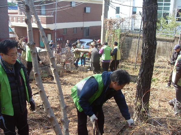 석3동 산지정화 활동 실시 사진