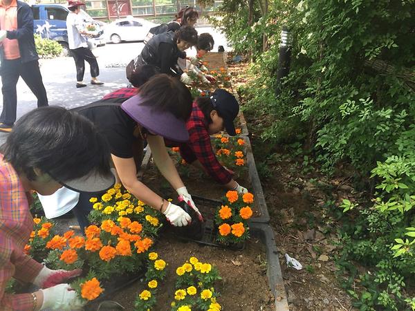 구월2동 여름초화 식재 사진