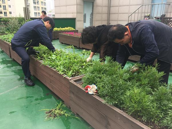 구월2동, 통장 공동체모임 ''정원의비밀'' 초화 잡초제거 사진