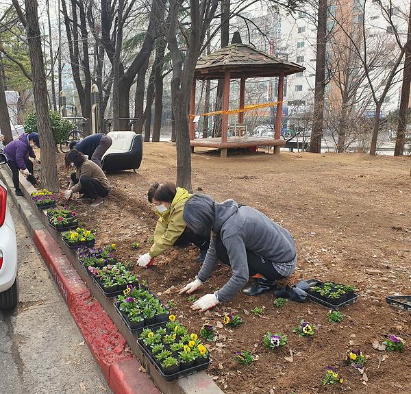 만수4동, 청소 취약지 환경 개선을 위한 초화 식재(인수마을) 사진