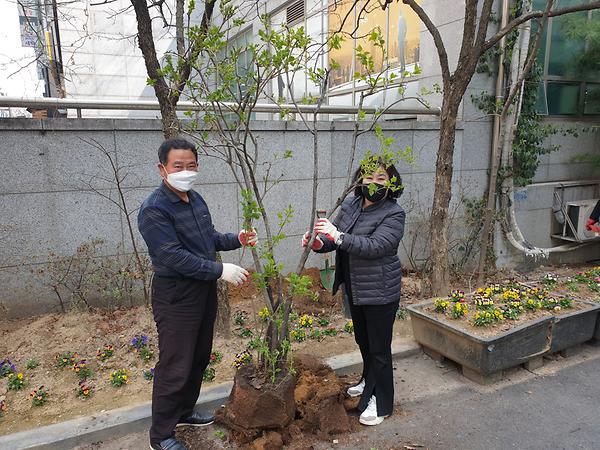 구월2동 식목일 기념 라일락 나무 식수 사진