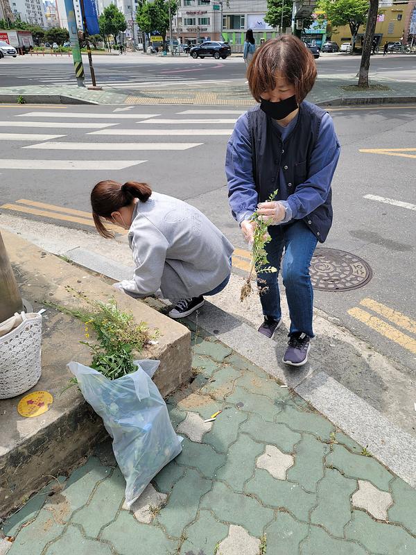 가로수 지킴이 활동(2022.05.11.) 사진