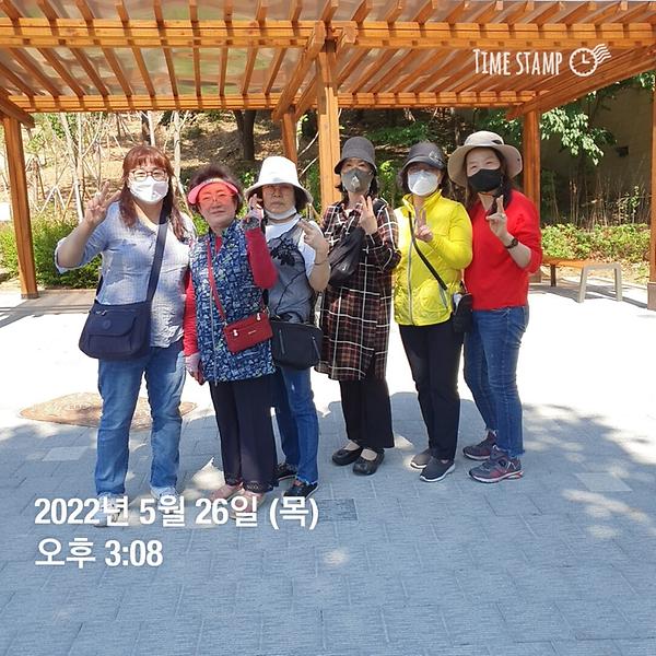 가로수 지킴이 활동 (2022.05.26.) 사진