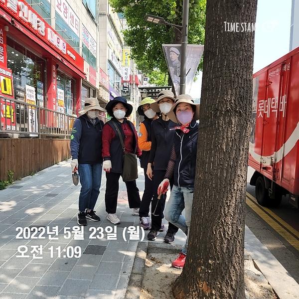 가로수 지킴이 활동 (2022.05.23.) 사진