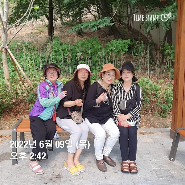 가로수 지킴이 활동 (2022.06.09.) 사진
