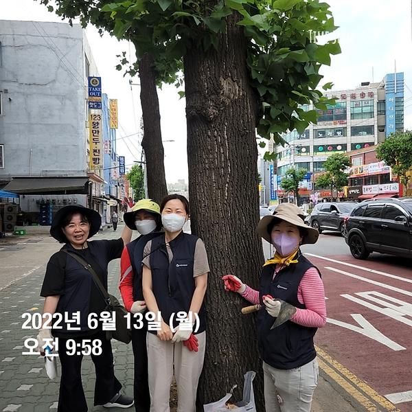 간석3동 가로수 지킴이 활동 (2022.06.13.) 사진