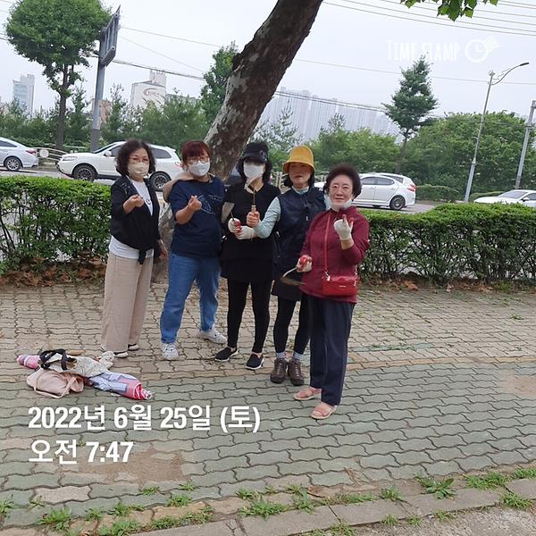 간석3동 가로수 지킴이 활동 (2022.06.25.) 사진