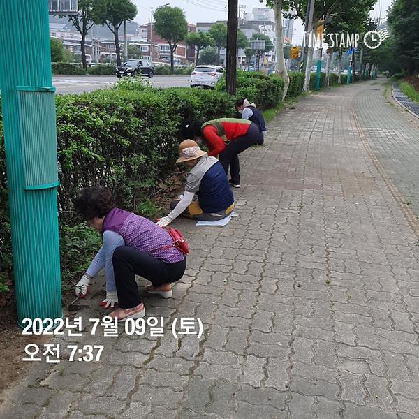 간석3동 가로수 지킴이 활동 (2022.07.09.) 사진