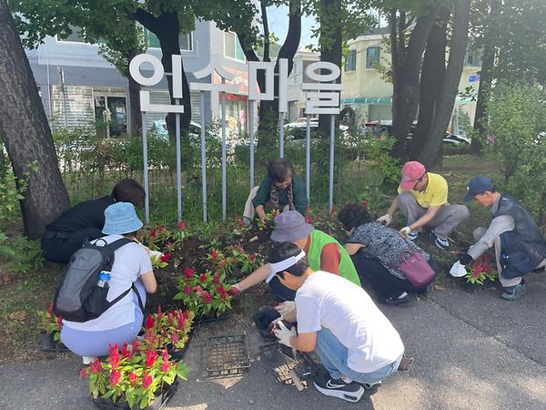 가을초화 식재 사진