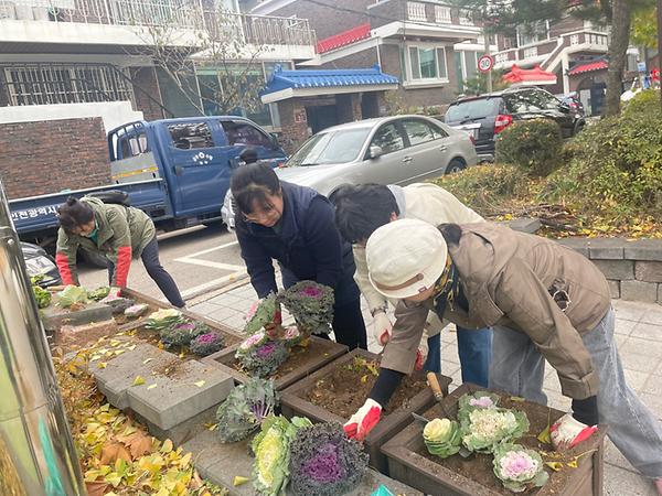 겨울초화 식재 사진