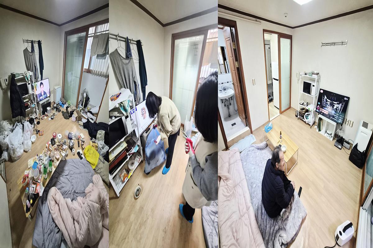 cats.jpg 이미지