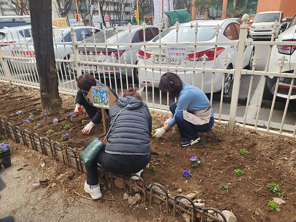 통장자율회 봄 맞이 초화 식재 사진
