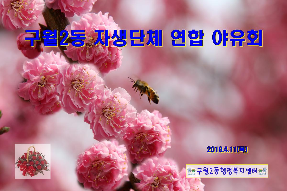 구월2동 자생단체 연합 야유회!! 사진