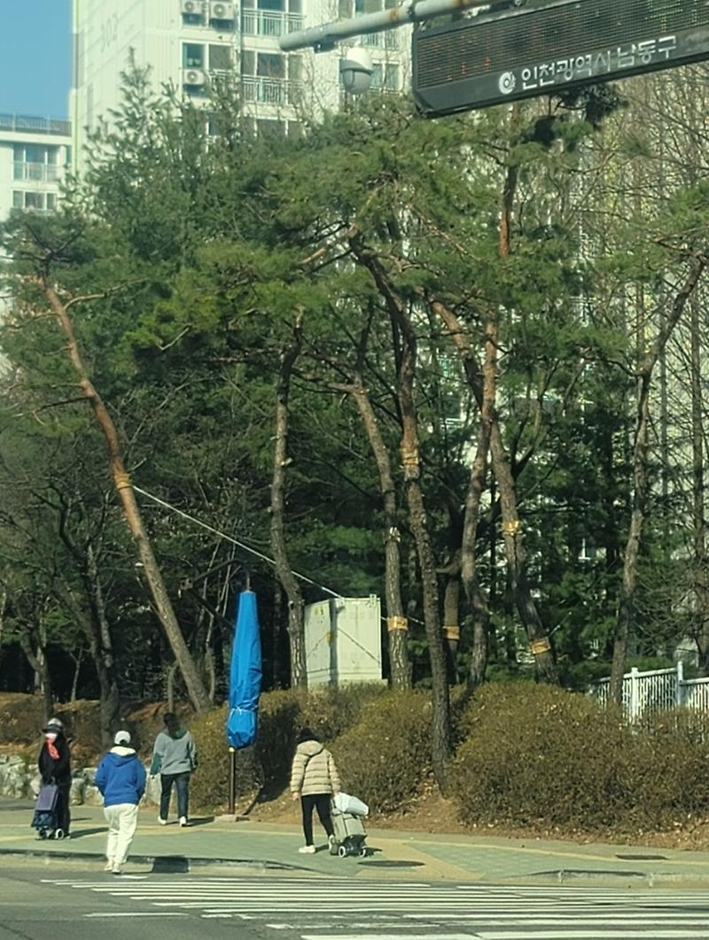 Screenshot_20250324_165941_Gallery.jpg 이미지