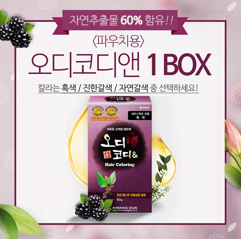 오디코디앤 염모제 제품의 대표사진