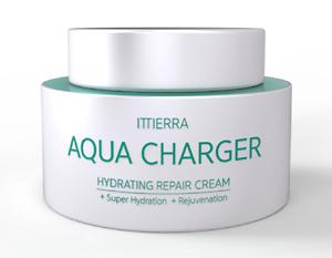 AQUA CHARGER repair cream 아쿠아 차저 재생크림 제품의 대표사진