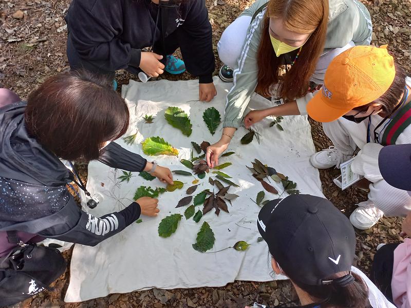 놀이동무활동 사진