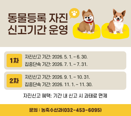 동물등록 자진신고 기간 운영
(1차)자진신고 기간: 
2026. 5. 1. ~ 6. 30.
(1차)집중단속 기간: 
2026. 7. 1. ~ 7. 31.
(2차)자진신고 기간: 
2026. 9. 1. ~ 10. 31.
(2차)집중단속 기간: 
2026. 11. 1. ~ 11. 30.
자진신고 혜택: 기간 내 신고 시 과태료 면제
☏문의 : 농축수산과(032-453-6095)
