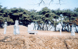 이여발 묘 사진