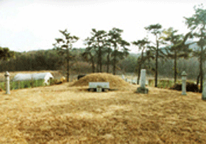 조정만 묘 사진