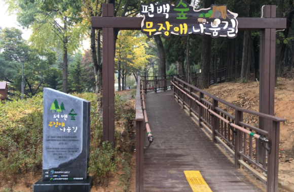 편백숲 무장애길(1.7km) 사진