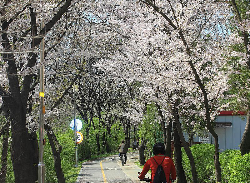 향기가득길 명소 이미지